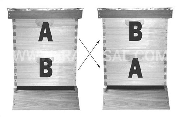 جا به جا کردن طبقات کندو