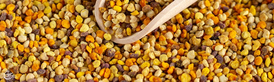 درمان ناباروری با پیشرفته ترین روش ها : نوین، سنتی و گیاهی