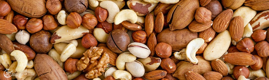 پیشگیری از آلزایمر با مغزیجات؛ زوال عقل را متوقف کنید!