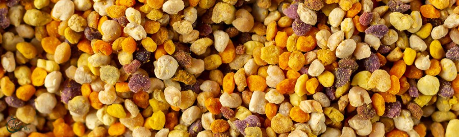 گرده گل یک درمان طبیعی برای کم خونی در طب سنتی