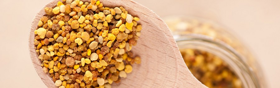 ارزش غذایی شگفتانگیز هر دانه گرده گل