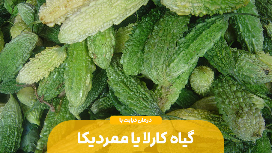 کارلا و درمان دیابت؛ بررسی علمی یک گیاه دارویی مؤثر در کنترل قند خون