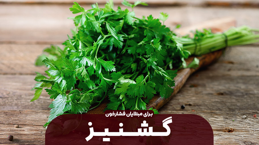 تأثیر گشنیز بر فشار خون؛ راهی طبیعی برای کنترل فشار خون بالا