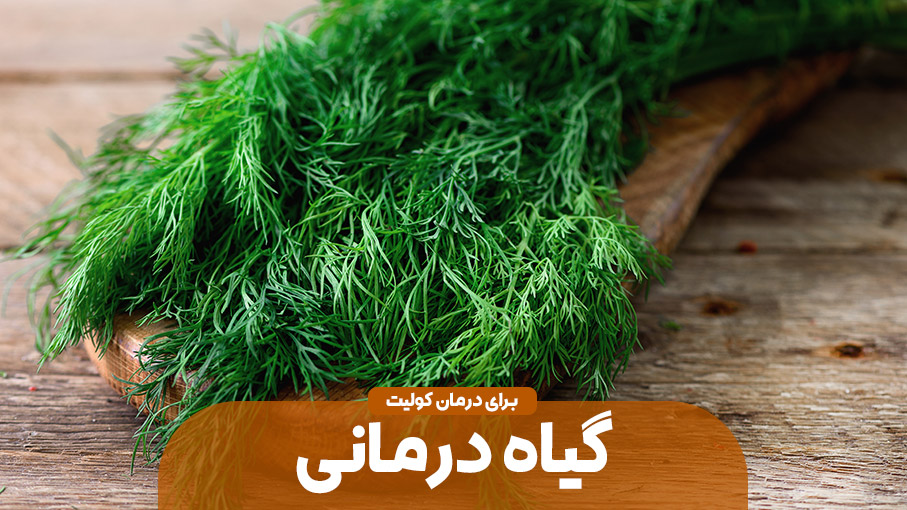 گیاهان مفید برای درمان کولیت