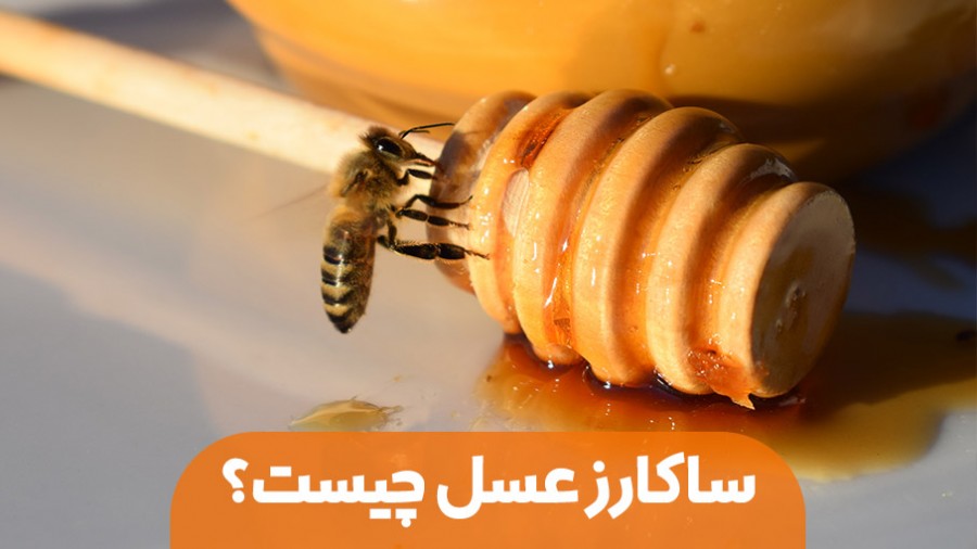 آنچه باید در مورد ساکارز بدانید