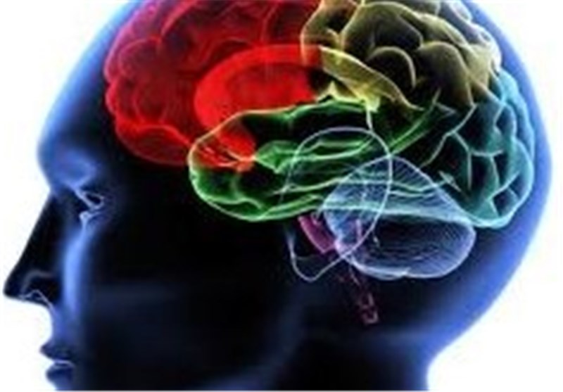 طب سنتی / راهکارهایی برای رفع سردی مغز 