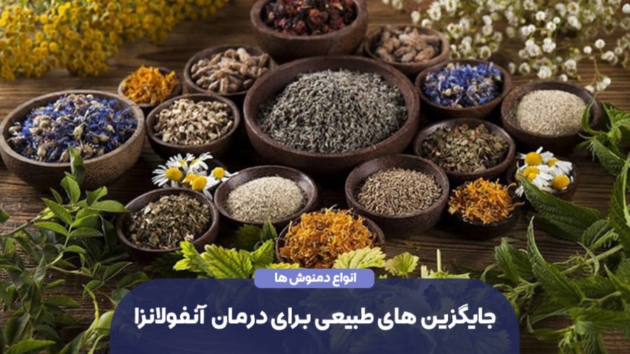جایگزین‌های طبیعی برای درمان سریع سرماخوردگی و آنفولانزا