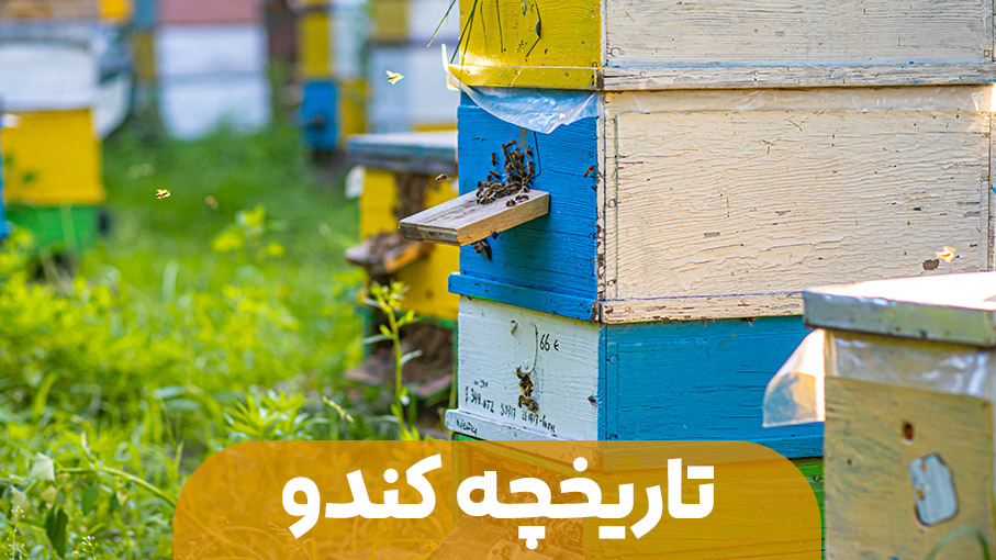 تاریخچه کندو زنبور عسل