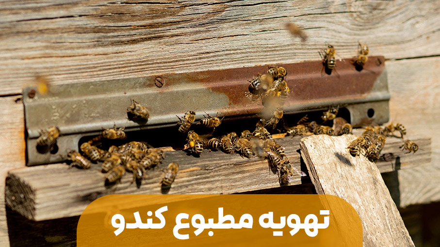 تهویه مطبوع در کندو زنبور عسل