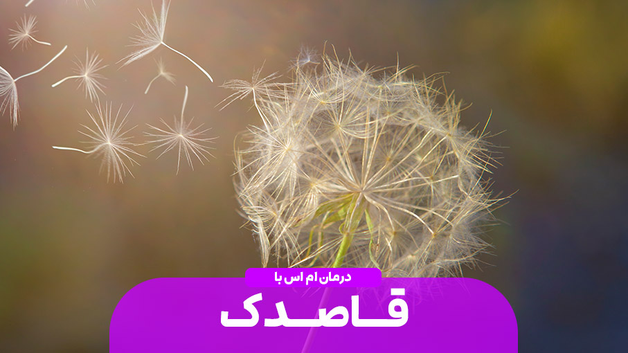 درمان ام اس با قاصدک