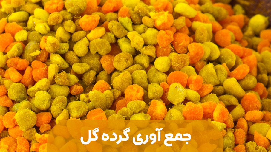 جمع آوري گرده توسط زنبور 