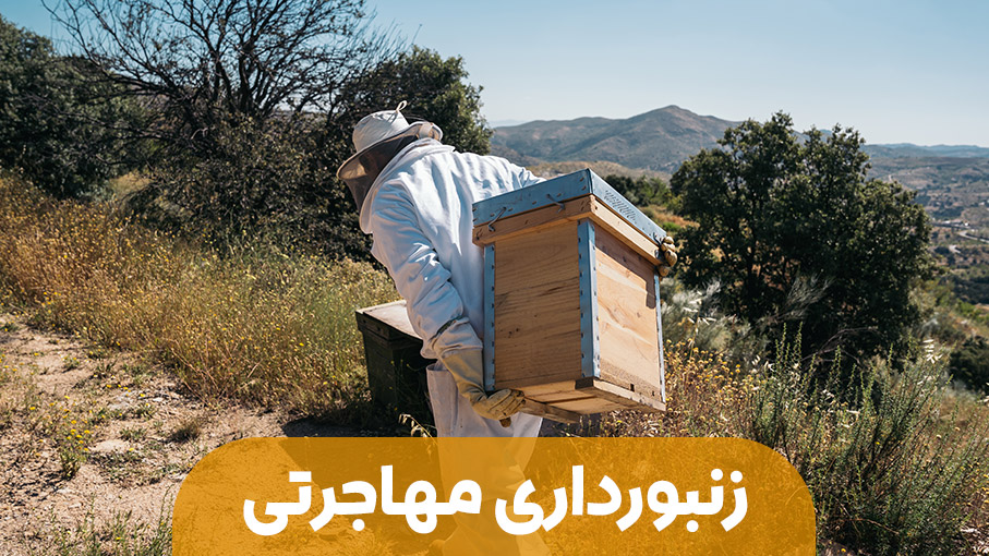زنبورداری مهاجرتی