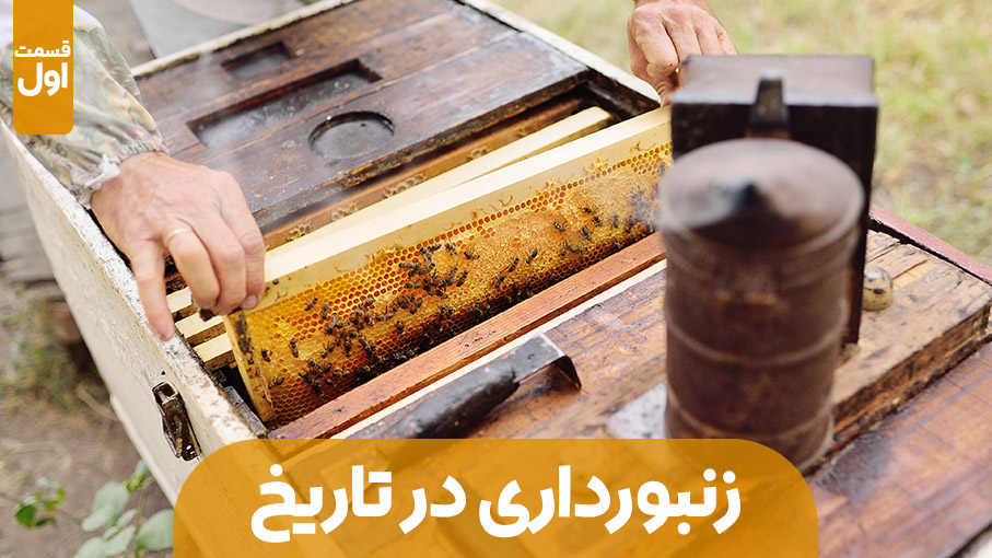 زنبورداری در مسیر تاریخ – قسمت اول