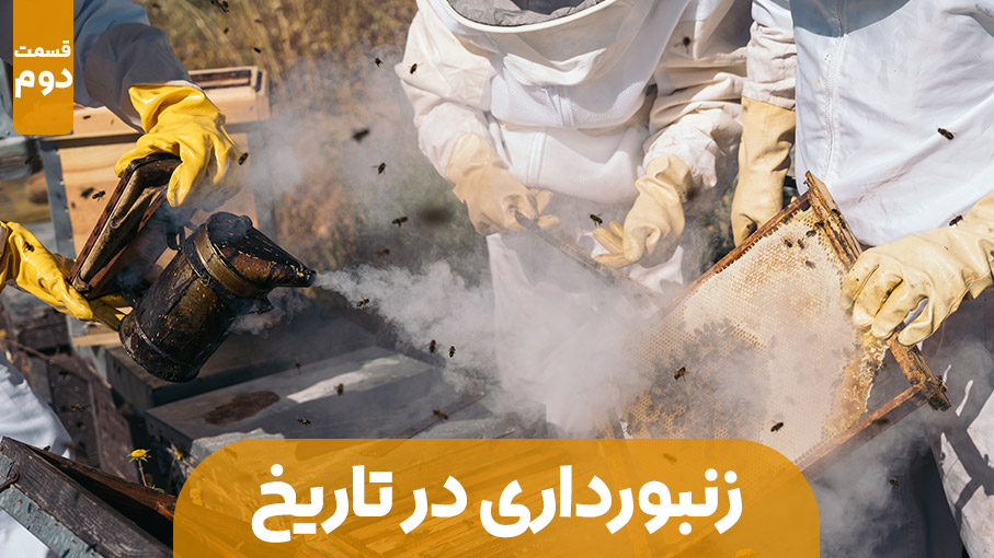 زنبورداری در مسیر تاریخ – قسمت دوم