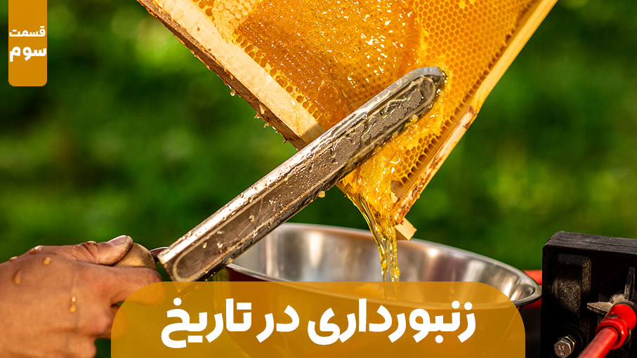زنبورداری در مسیر تاریخ – قسمت سوم