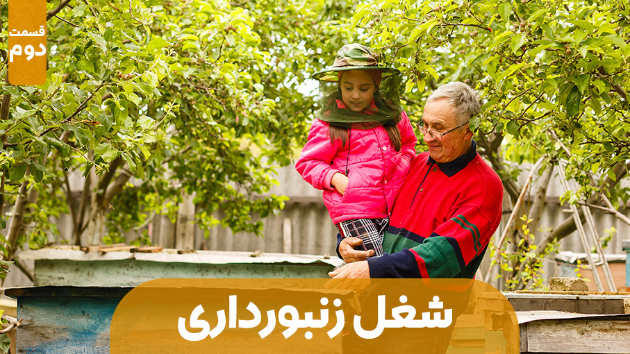معرفی شغل : زنبورداری – قسمت دوم