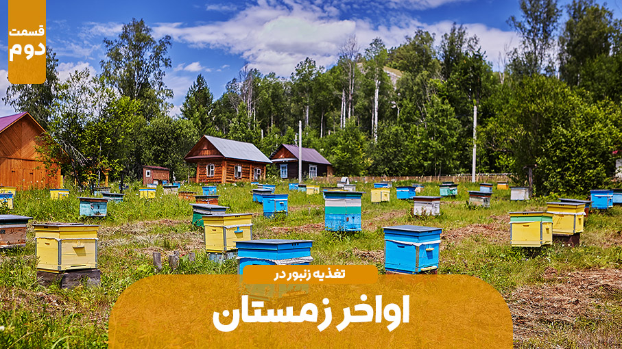 زنبور عسل و تغذیه آن در اواخر زمستان و اوایل بهار - قسمت دوم