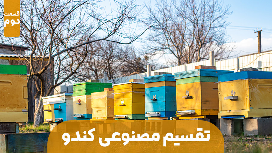 تقسیم مصنوعی کندو عسل - قسمت دوم