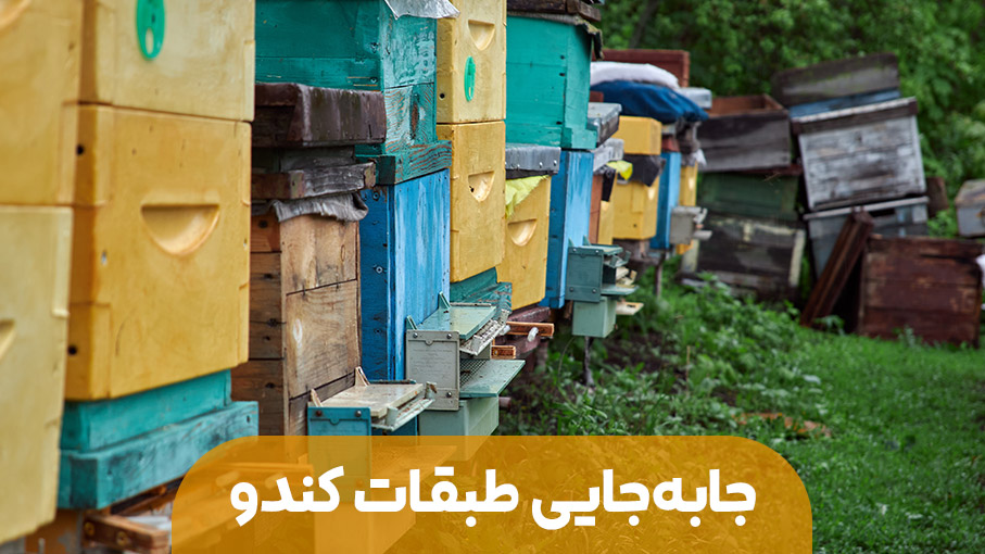 جا به جا کردن طبقات کندو