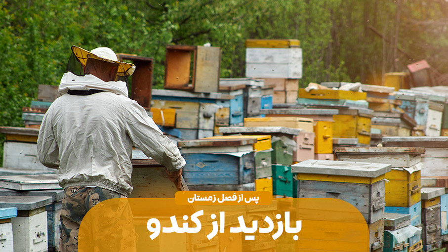 بازدید از کندو پس از گذشت فصل زمستان