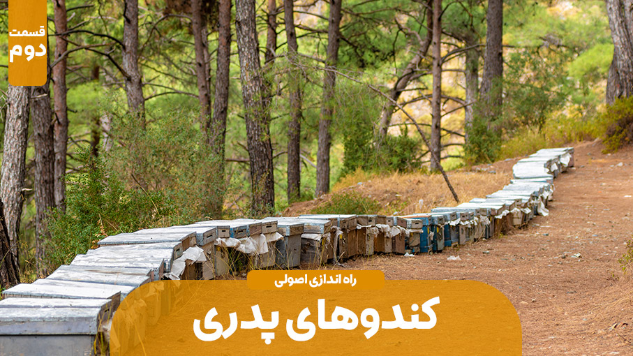 نکات مهم به منظور احداث کندوی پدری – قسمت دوم