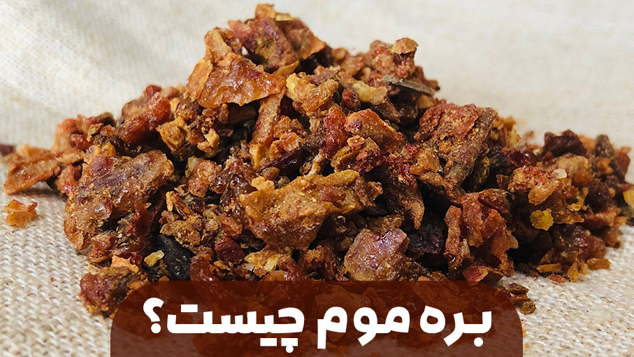 بره موم چیست؟ + ویدئو آشنایی با بره موم