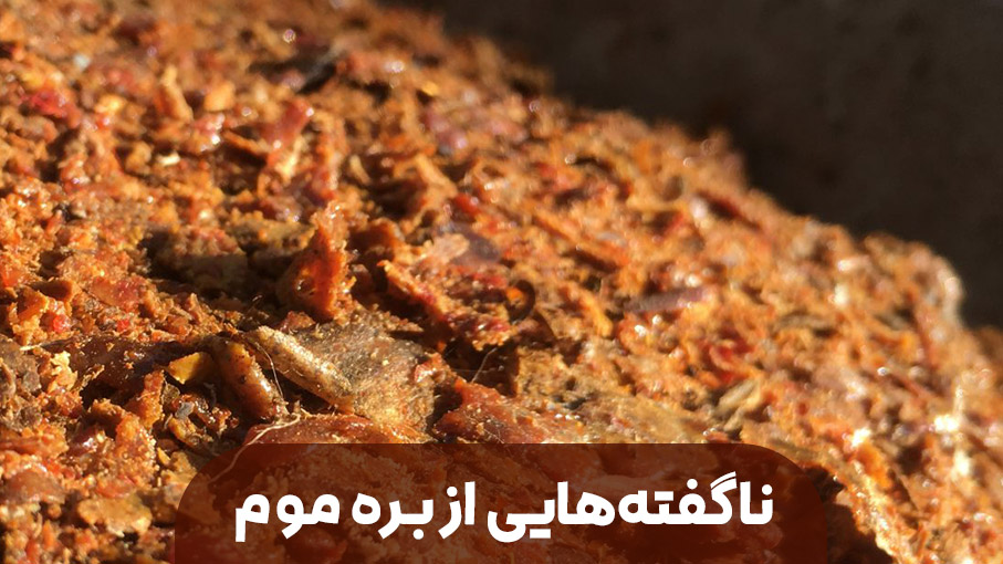 ناگفته‌های بره موم؛ راز شگفت‌انگیز چسب زنبور در سلامت انسان