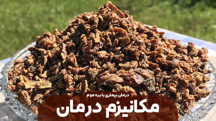 بره موم چگونه موجب درمان بیماری ها می شود؟