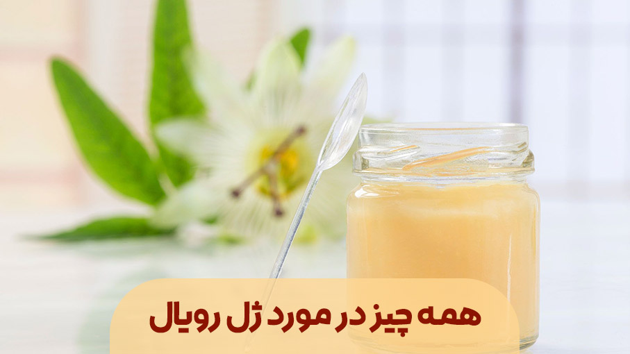همه چیز در مورد ژل رویال؛ ژل رویال چیست؟