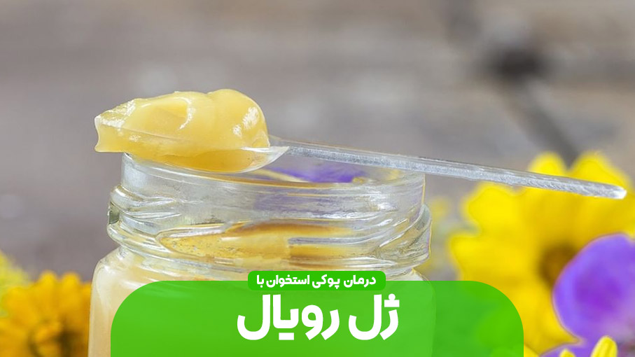 درمان مشکلات استخوان را به ژل رویال بسپارید
