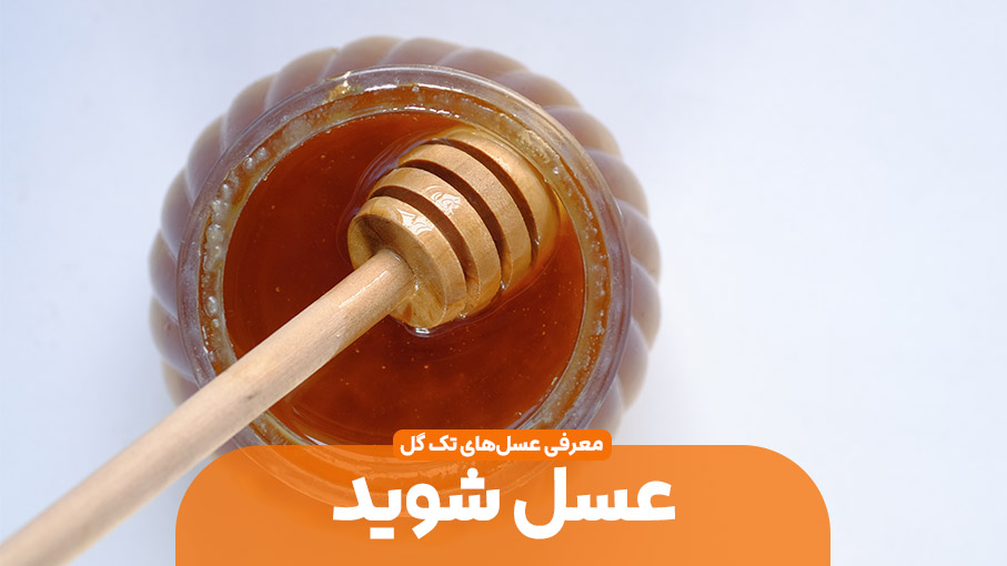 عسل تک گیاه شوید
