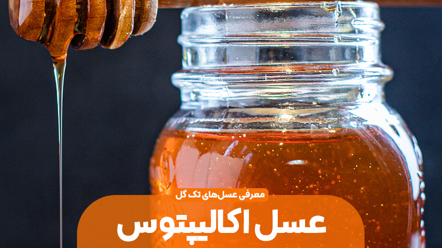 عسل تک گیاه اکالیپتوس