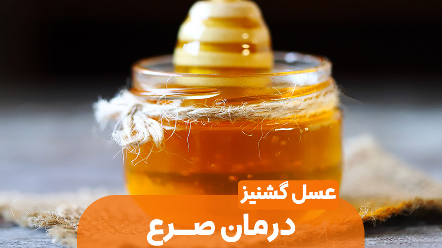 عسل گشنیز چیست و چرا به آن تک‌گیاه می‌گویند؟