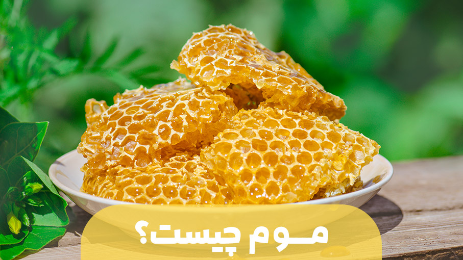 آشنایی با موم