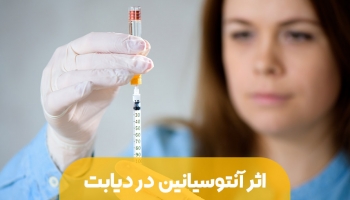 تاثیر آنتوسیانین در دیابت