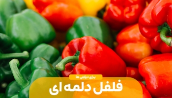 دیابت و فلفل دلمه ای