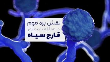پیشگیری و درمان قارچ سیاه با بره موم؛ بیشتر مراقب سیستم ایمنی بدن باشیم!