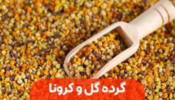 معجزه گرده گل برای مقابله با کرونا