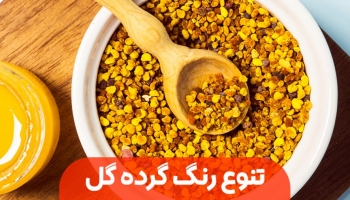 آیا تنوع رنگ گرده گل اهمیتی دارد؟