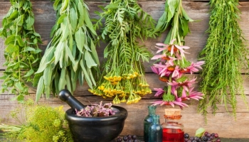 چند مسکن قوی طبیعی برای تسکین فوری درد