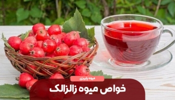 این میوه پاییزی خوشمزه عفونت ریه را درمان می کند