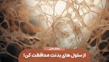 چه غذاهایی از سلول‌های بدن محافظت می‌کنند؟