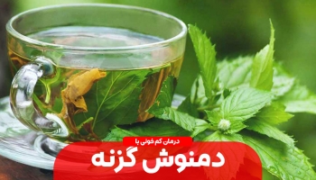 دمنوش گزنه و لیمو؛ درمان طبیعی و مؤثر کم‌خونی