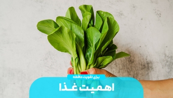 اهمیت غذا در افزایش حافظه