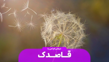 درمان ام اس با قاصدک