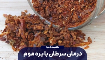 آیا بره موم می تواند در درمان سرطان موثر باشد؟