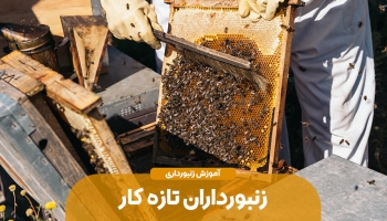 چند نکته طلایی برا زنبورداران تازه کار