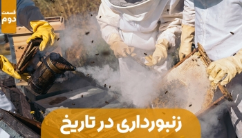 زنبورداری در مسیر تاریخ – قسمت دوم