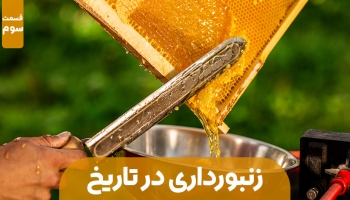 زنبورداری در مسیر تاریخ – قسمت سوم