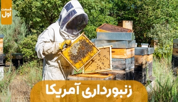 زنبورداری در آمریکا - قسمت اول
